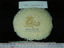 低价批发中国大米越南短粒米VIET JAPONICA珍珠米厂家直供海外华人超市百货