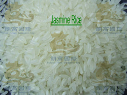 Premium Viet Rice Calrose Rice Jasmine Fragrant Rice for Egypt Chinatown Cairo Chinese Supermarket