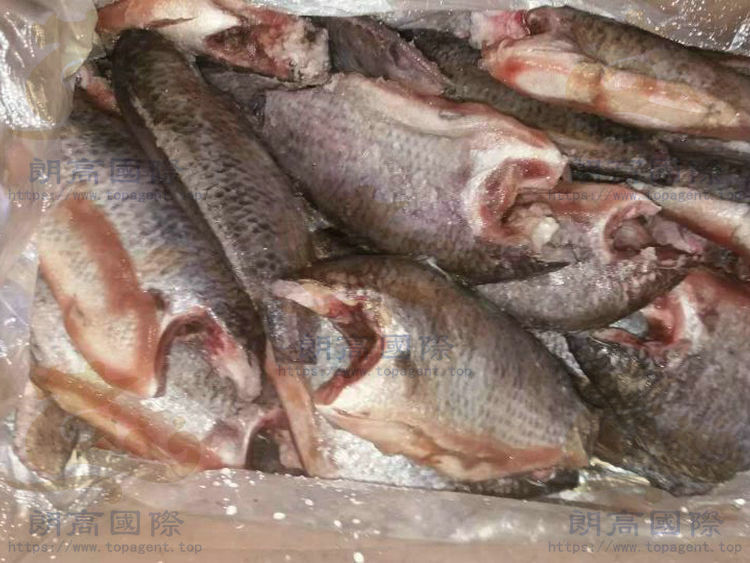 Moon Cut Headless Frozen Tilapia Whole Cleaned,Scaled, Gutted, Gilled, Fin off, Tail off,